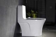 Cấu tạo và kích thước bồn cầu 1 khối thông dụng hiện nay 