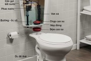 Cấu tạo các loại bồn cầu vệ sinh thông dụng
