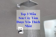Tổng Hợp Mẫu Sen Cây Tắm Được Yêu Thích Nhất - Lưu Ý Khi Mua
