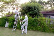 Những sai lầm cần tránh khi sử dụng thang nhôm