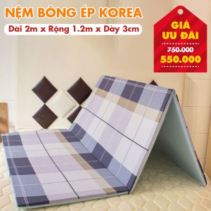 Nệm Bông Ép Giá Rẻ Nhiều Kích Thước