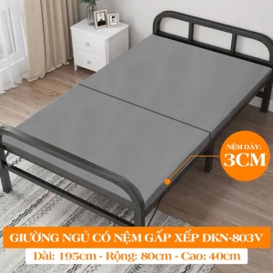 [ Nhiều Kích Thước -Nệm Dày 3cm] Giường Ngủ Có Nệm Gấp Gọn DAKITA DKN - 803V